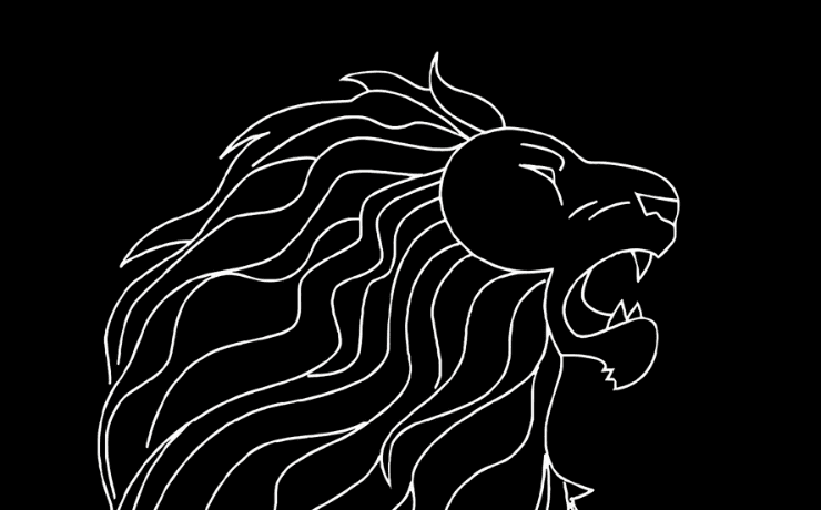 Code of the Lion™